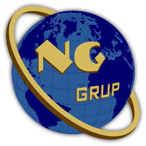 NG Grup Logo